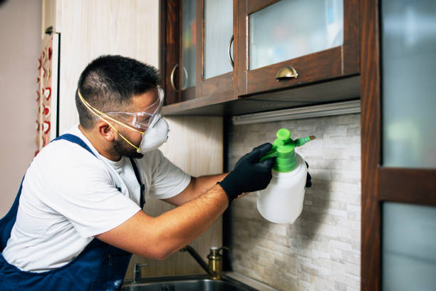 Best Mosquito Control Services  in Lakeside, MT