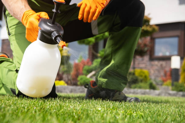 Best Cockroach Control Services  in Lakeside, MT