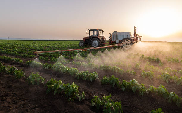 Best Pest Removal Services  in Lakeside, MT