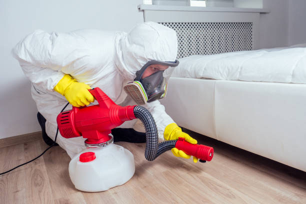 Trusted Lakeside, MT Pest Control Experts