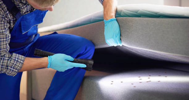Best Local Pest Control Services  in Lakeside, MT