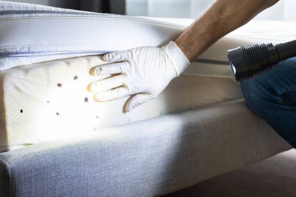 Best Pest Inspection Near Me  in Lakeside, MT