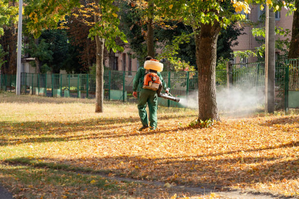 Best Wasp Removal Services  in Lakeside, MT