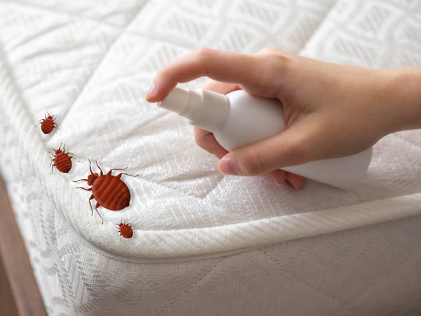 Best Exterminator Services  in Lakeside, MT