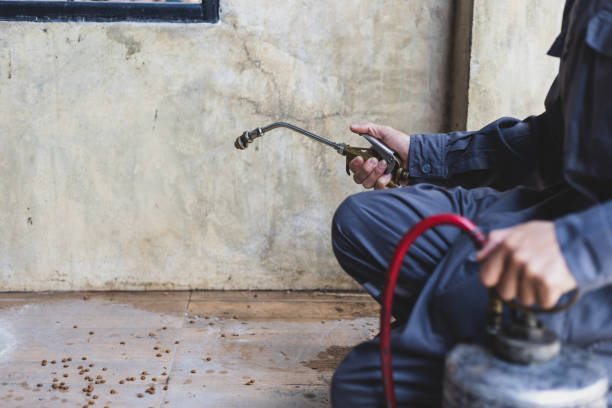Best Residential Pest Control  in Lakeside, MT
